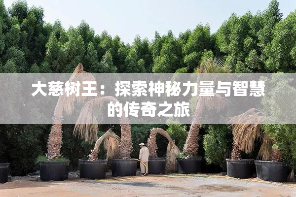大慈树王：探索神秘力量与智慧的传奇之旅