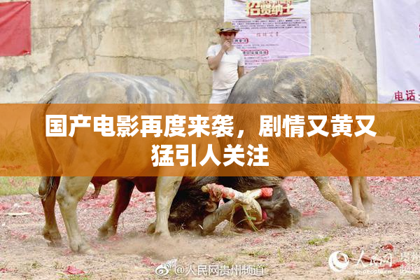 国产电影再度来袭，剧情又黄又猛引人关注