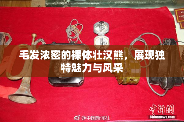 毛发浓密的裸体壮汉熊，展现独特魅力与风采