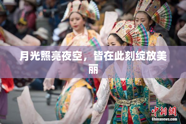 月光照亮夜空，皆在此刻绽放美丽