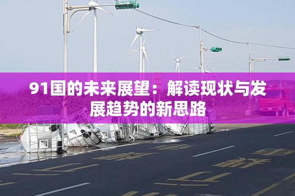 91国的未来展望：解读现状与发展趋势的新思路
