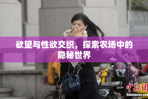 欲望与性欲交织，探索农场中的隐秘世界