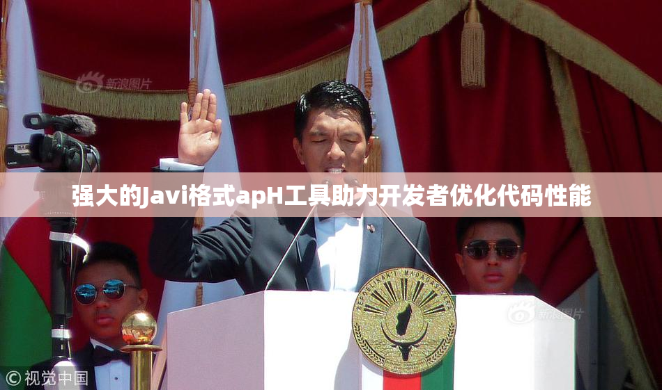 强大的Javi格式apH工具助力开发者优化代码性能