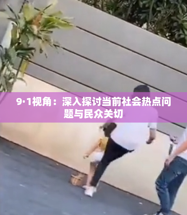9·1视角：深入探讨当前社会热点问题与民众关切