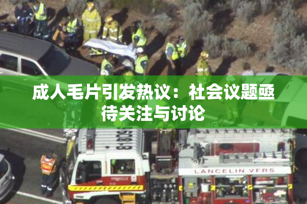 成人毛片引发热议：社会议题亟待关注与讨论