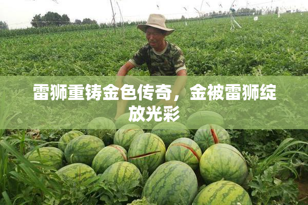 雷狮重铸金色传奇，金被雷狮绽放光彩