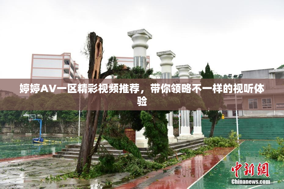婷婷AV一区精彩视频推荐，带你领略不一样的视听体验