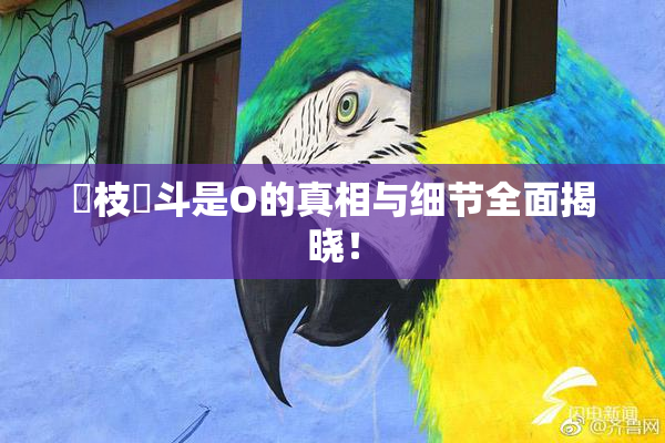 狛枝凪斗是O的真相与细节全面揭晓！