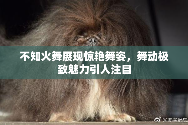 不知火舞展现惊艳舞姿，舞动极致魅力引人注目