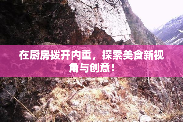 在厨房拨开内重，探索美食新视角与创意！