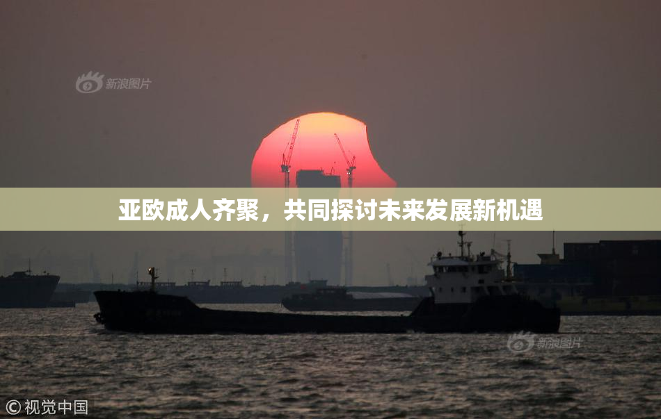 亚欧成人齐聚，共同探讨未来发展新机遇