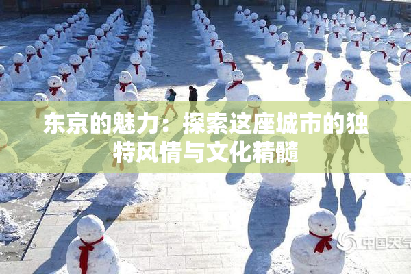 东京的魅力：探索这座城市的独特风情与文化精髓