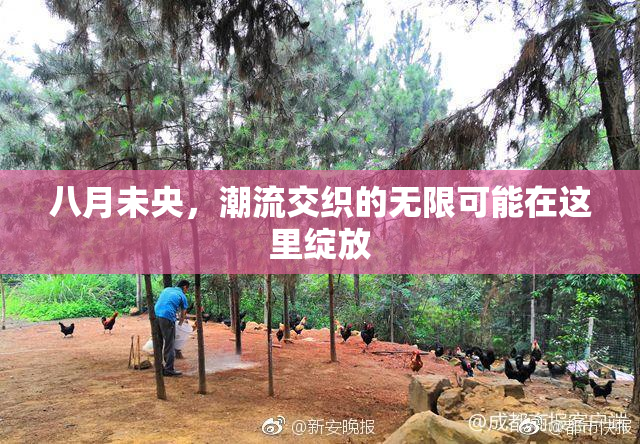 八月未央，潮流交织的无限可能在这里绽放