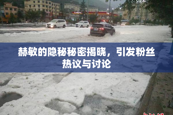 赫敏的隐秘秘密揭晓，引发粉丝热议与讨论