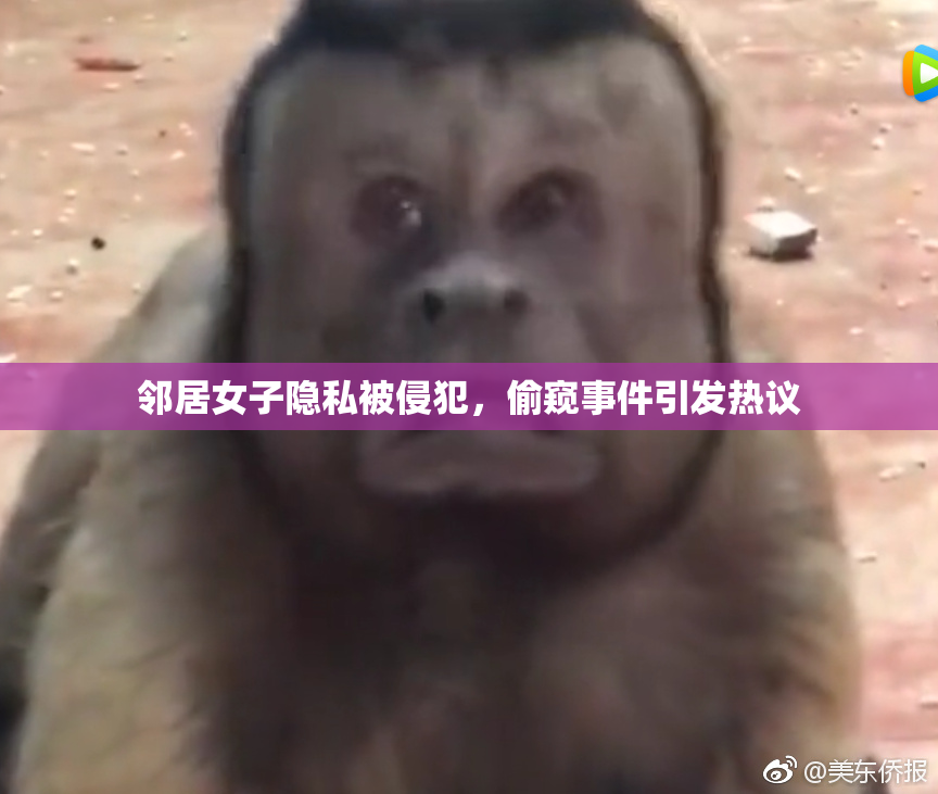 邻居女子隐私被侵犯，偷窥事件引发热议