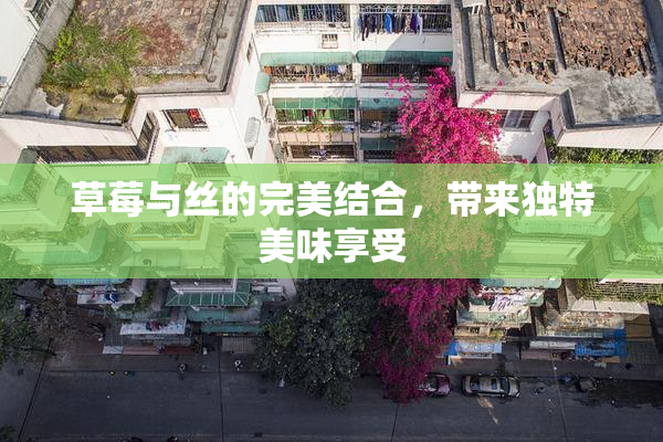 草莓与丝的完美结合，带来独特美味享受