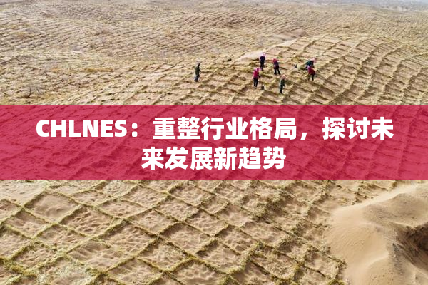 CHLNES：重整行业格局，探讨未来发展新趋势