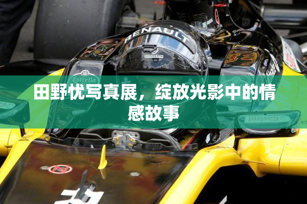 田野忧写真展，绽放光影中的情感故事