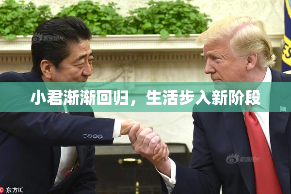 小君渐渐回归，生活步入新阶段