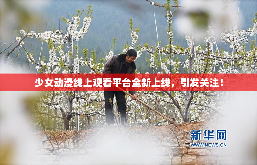 少女动漫线上观看平台全新上线，引发关注！