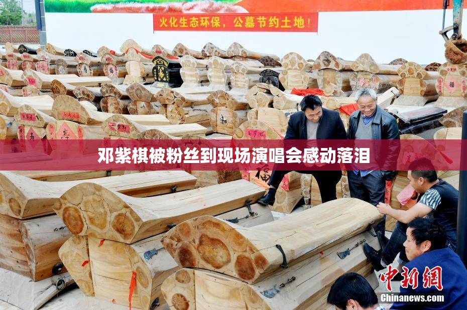 邓紫棋被粉丝到现场演唱会感动落泪