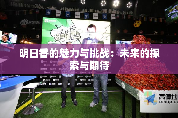 明日香的魅力与挑战：未来的探索与期待