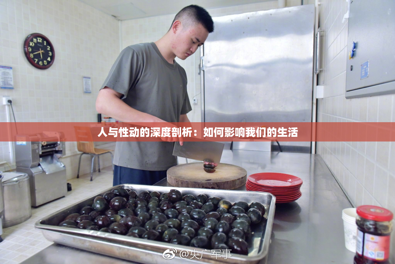 人与性动的深度剖析：如何影响我们的生活