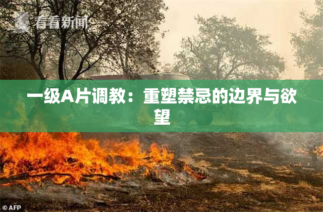 一级A片调教：重塑禁忌的边界与欲望