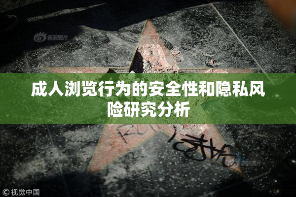 成人浏览行为的安全性和隐私风险研究分析
