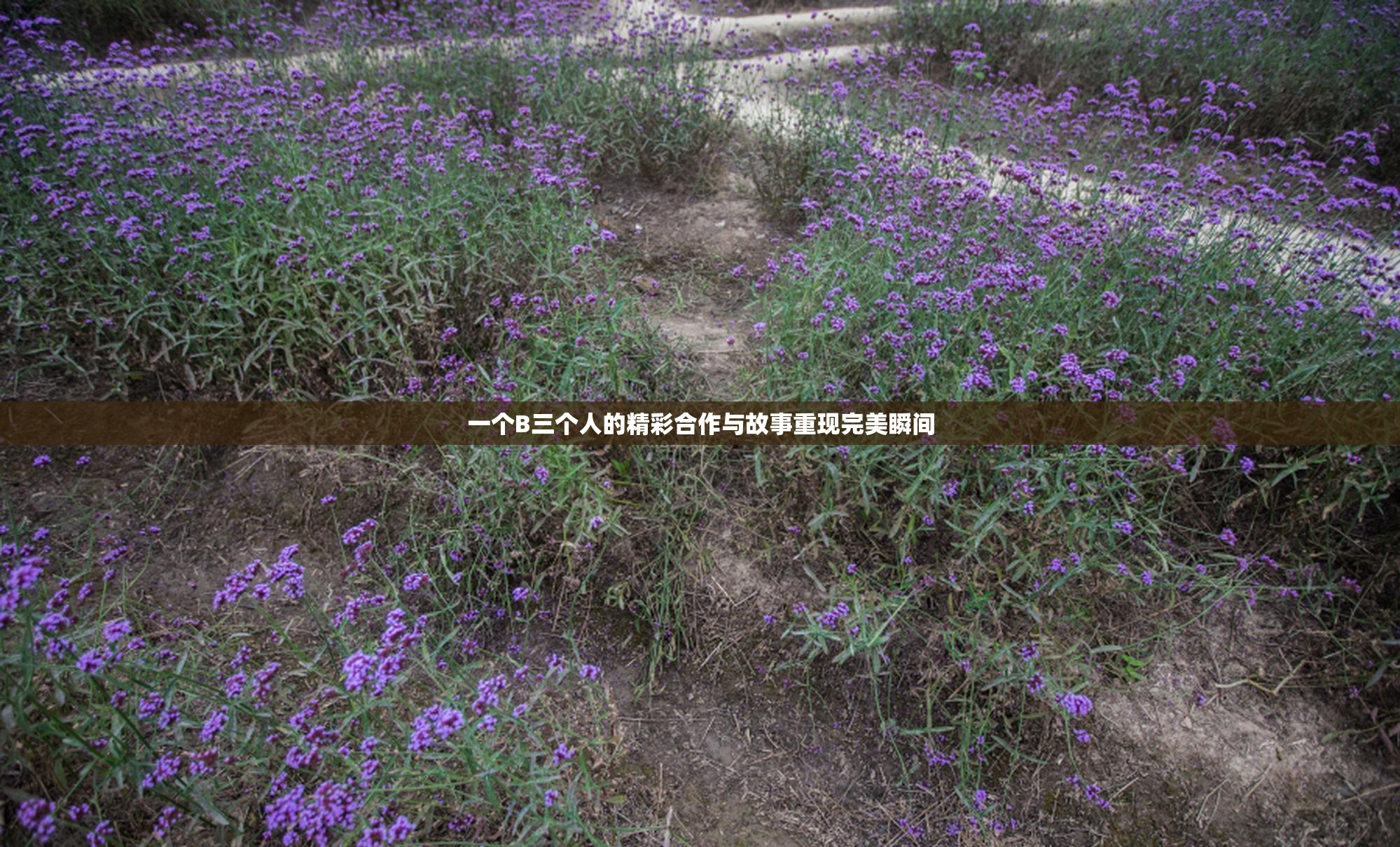 一个B三个人的精彩合作与故事重现完美瞬间