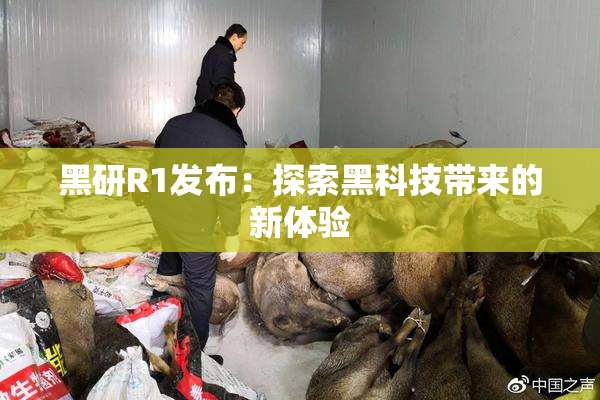 黑研R1发布：探索黑科技带来的新体验
