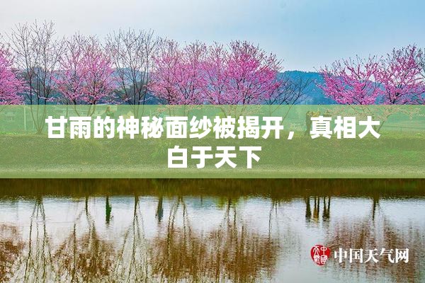 甘雨的神秘面纱被揭开，真相大白于天下