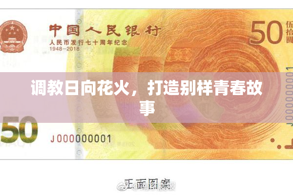 调教日向花火，打造别样青春故事