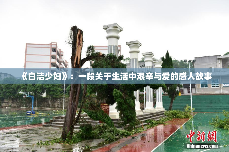 《白洁少妇》：一段关于生活中艰辛与爱的感人故事