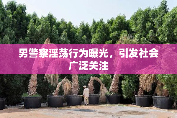 男警察淫荡行为曝光，引发社会广泛关注