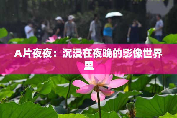 A片夜夜：沉浸在夜晚的影像世界里