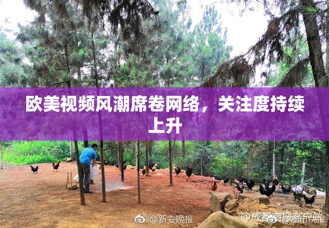 欧美视频风潮席卷网络，关注度持续上升