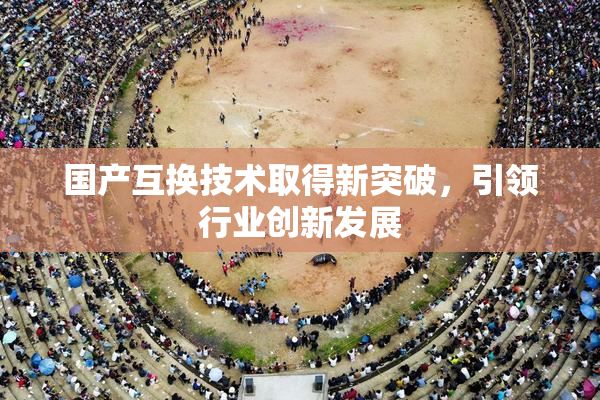 国产互换技术取得新突破，引领行业创新发展