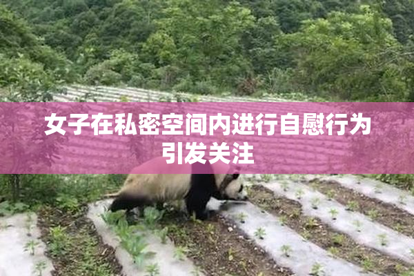女子在私密空间内进行自慰行为引发关注