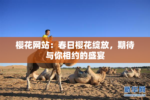 樱花网站：春日樱花绽放，期待与你相约的盛宴