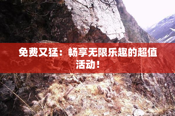 免费又猛：畅享无限乐趣的超值活动！