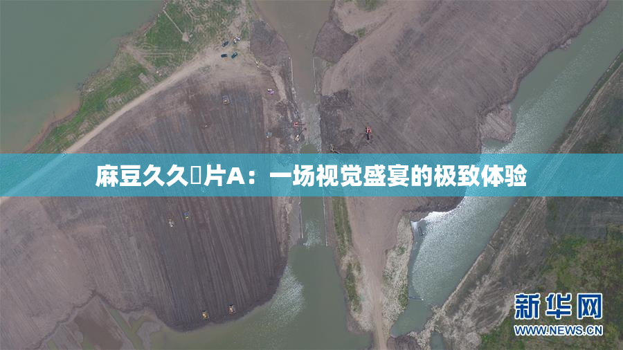 麻豆久久婬片A：一场视觉盛宴的极致体验