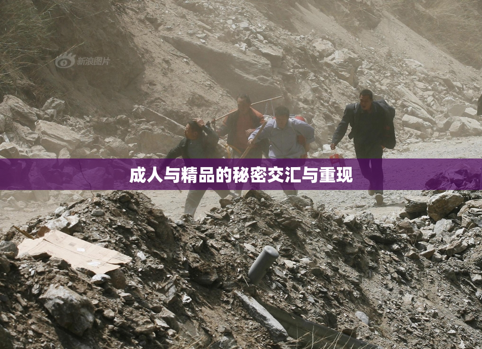 成人与精品的秘密交汇与重现