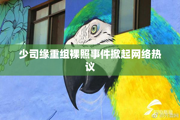 少司缘重组裸照事件掀起网络热议