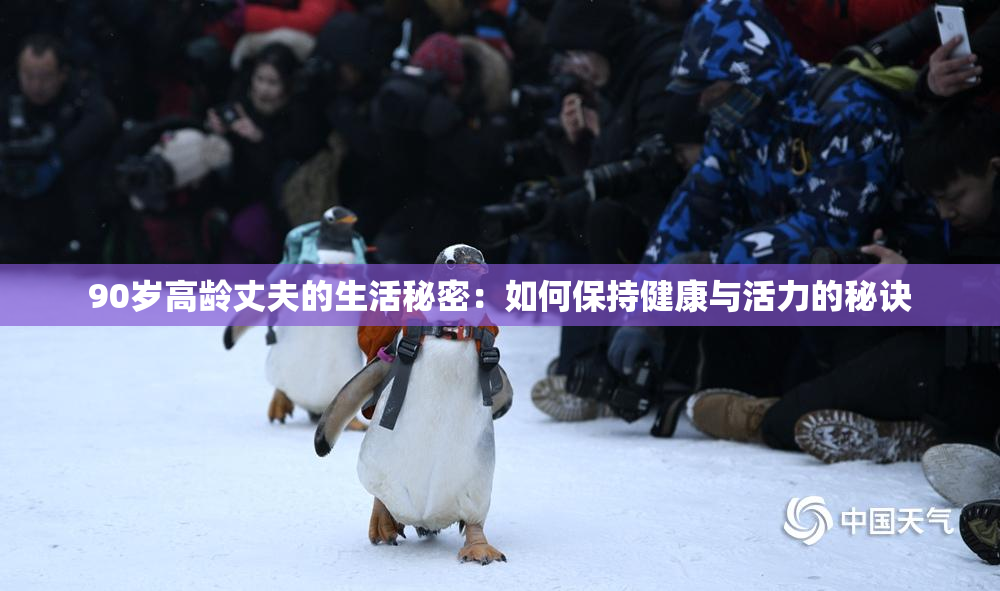 90岁高龄丈夫的生活秘密：如何保持健康与活力的秘诀