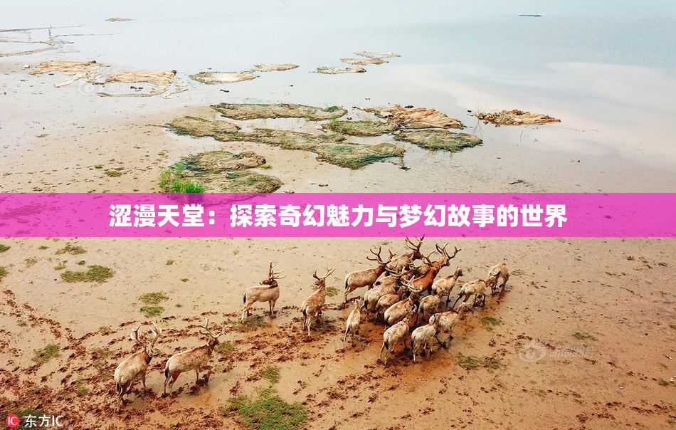 涩漫天堂：探索奇幻魅力与梦幻故事的世界