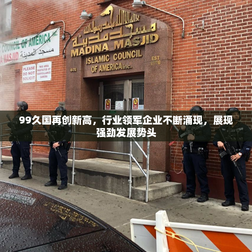 99久国再创新高，行业领军企业不断涌现，展现强劲发展势头