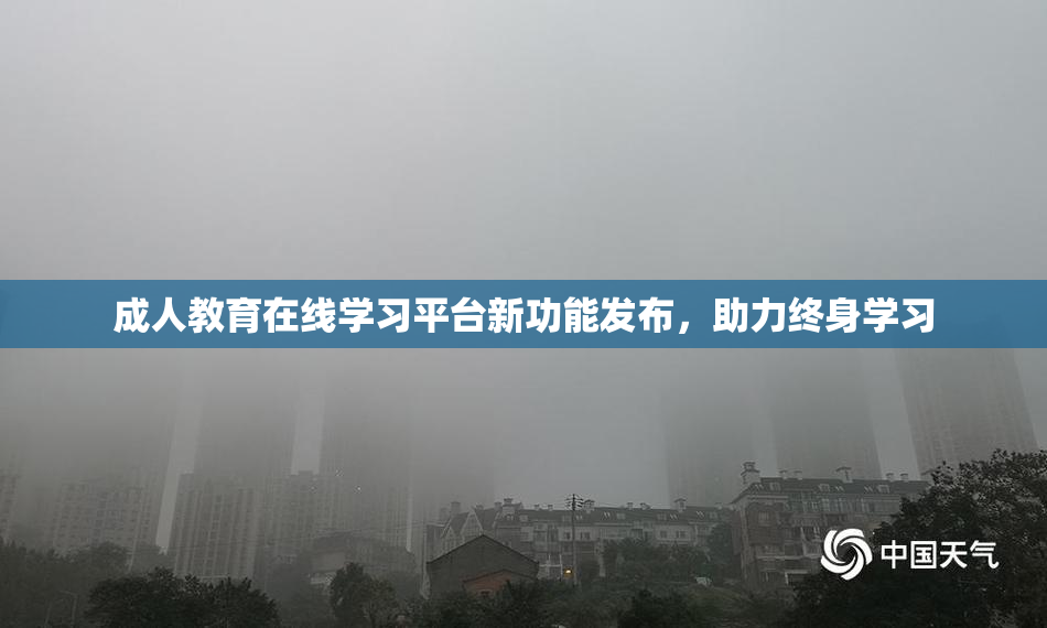 成人教育在线学习平台新功能发布，助力终身学习