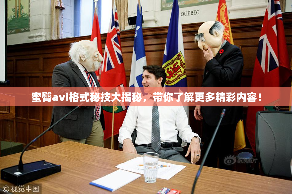 蜜臀avi格式秘技大揭秘，带你了解更多精彩内容！