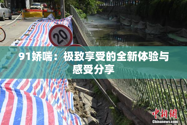91娇喘：极致享受的全新体验与感受分享